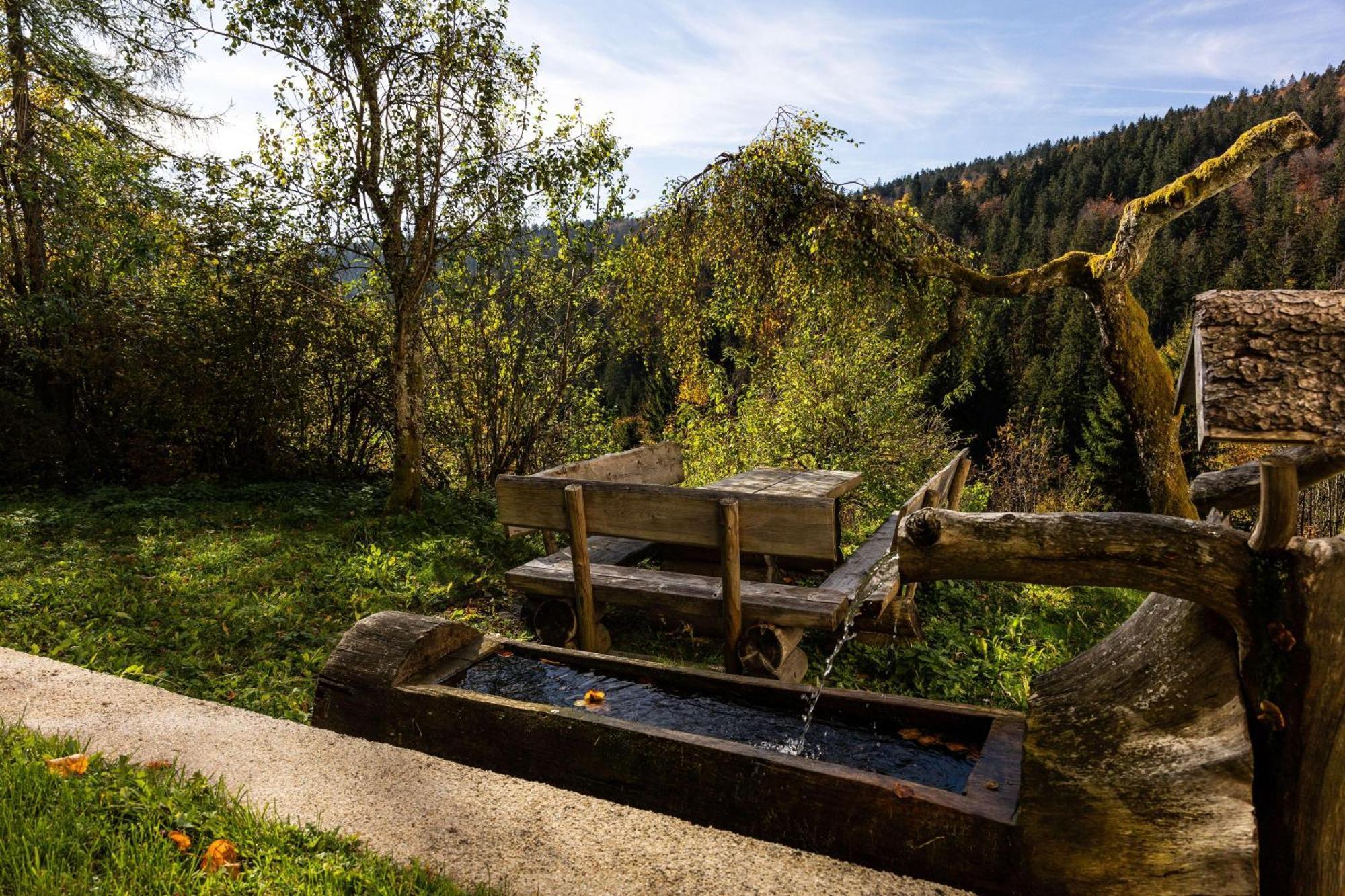 Forsthaus Apartments - Ski + Bike & Hike Klaffer am Hochficht Exterior photo